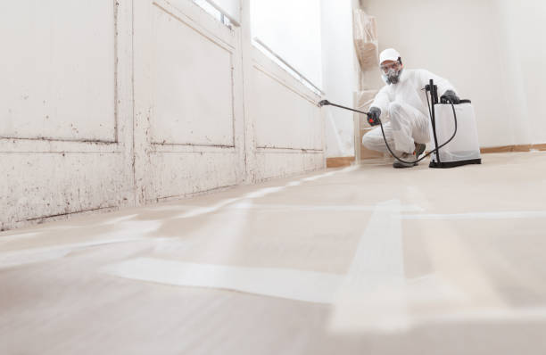 24/7 Emergency Mold Inspection experts in Great Falls, VA