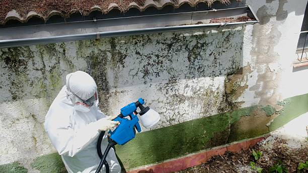 Trusted Bathroom Mold Removal service in Great Falls, VA - Cheap Mold Removal